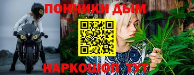 крисы Малгобек