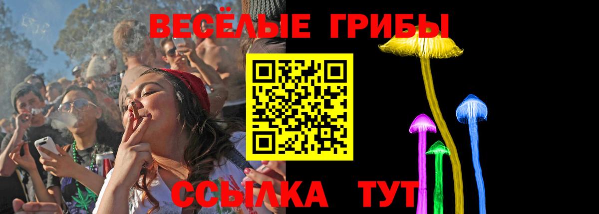 Галлюциногенные грибы мухоморы Сосновоборск